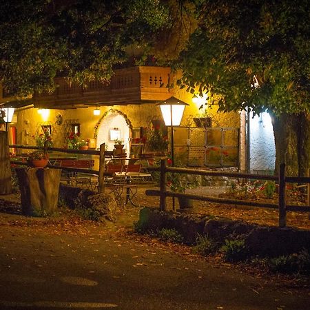 Gasthof Mitteregg Zum Kasnocknwirt Winkl  Bagian luar foto